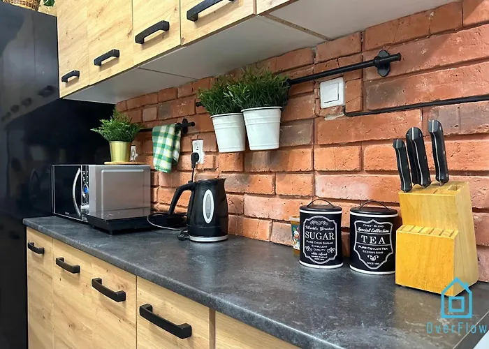 Jager 10 Min To Old Town Gdansk,pkp & Shopping Mall * グダニスク